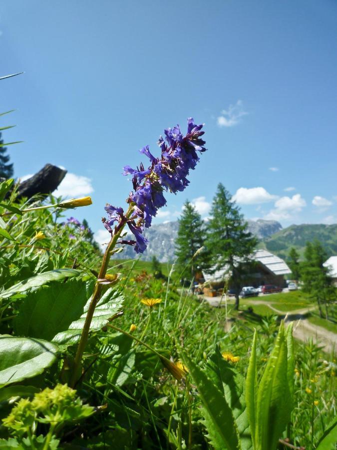 Nassfeld Fruehstueckspension Wulfenia Da Livio Exteriör bild